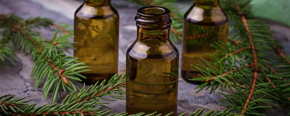 huile essentielle tea tree