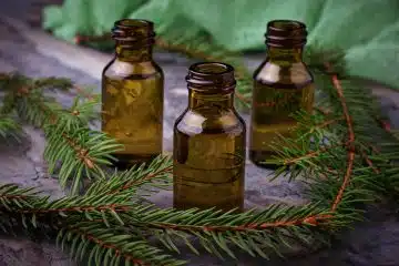 huile essentielle tea tree