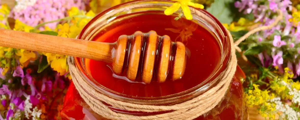 miel en pot