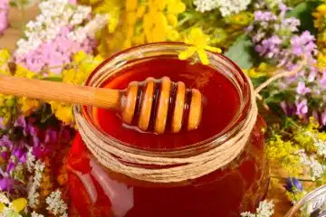 miel en pot