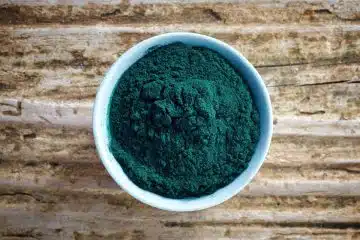 poudre de spiruline en bol